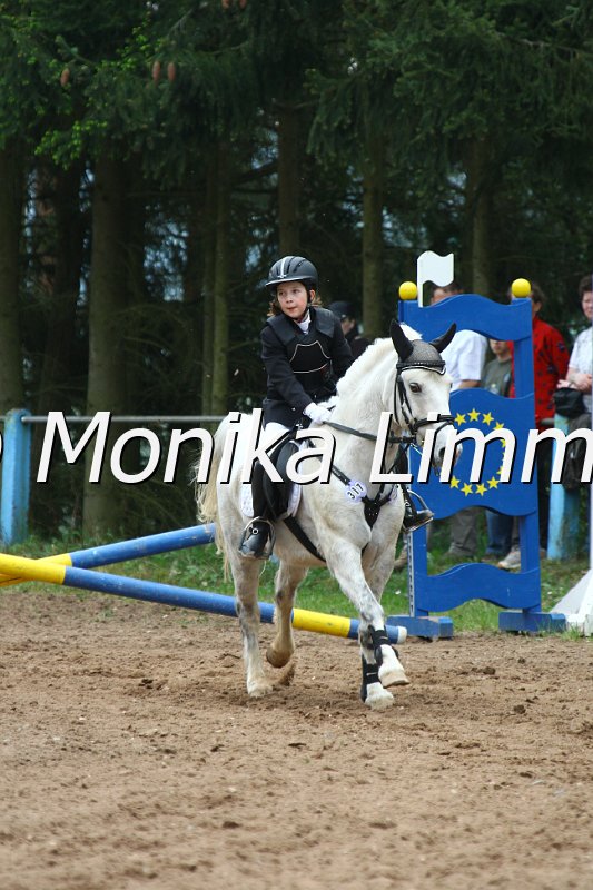 005L3675_Indiana Jones_Springreiter WB.JPG